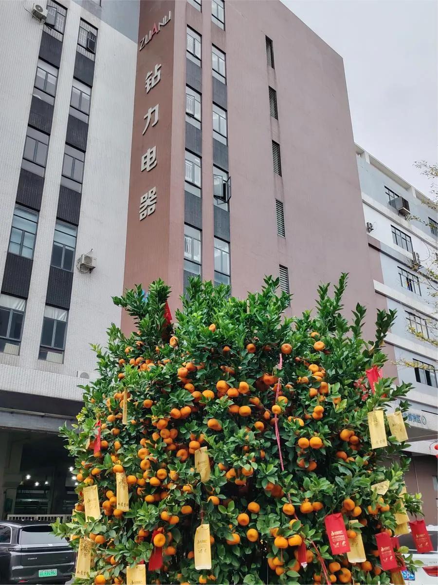 Första leveransen efter det kinesiska nyåret: Pumpar för omvänd osmos med högt vridmoment Åk till utomeuropeisk marknad-zuanli ro-pump!